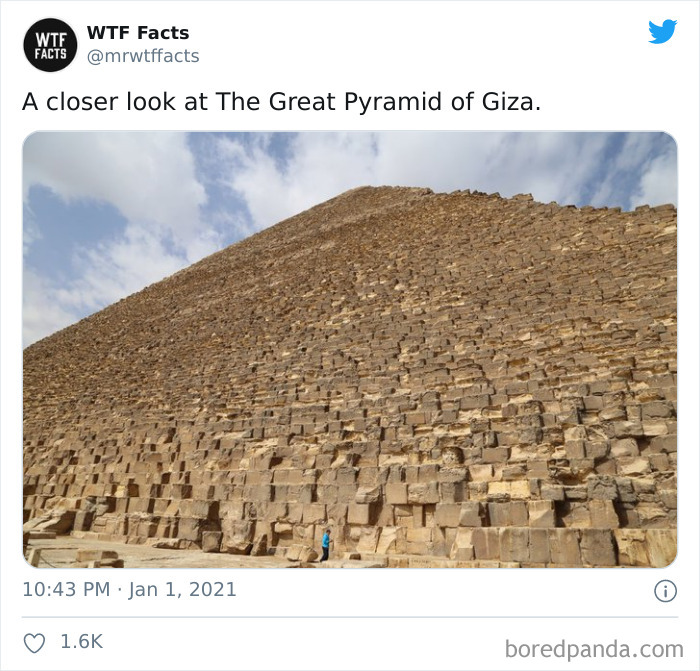 Weird-Interesting-Facts