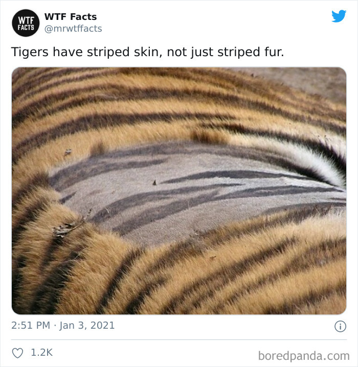 Weird-Interesting-Facts