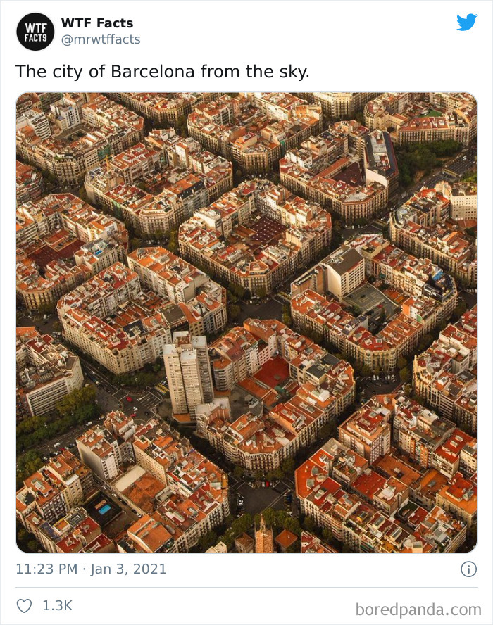 Weird-Interesting-Facts