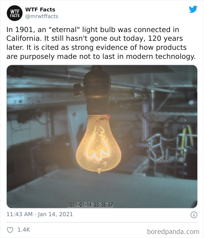 Weird-Interesting-Facts