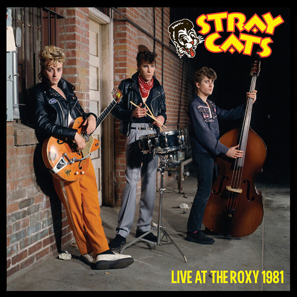 1353-StrayCats-10x10-6041925138f92.jpg