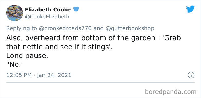 Daredevil-Kids-Wildest-Stunts