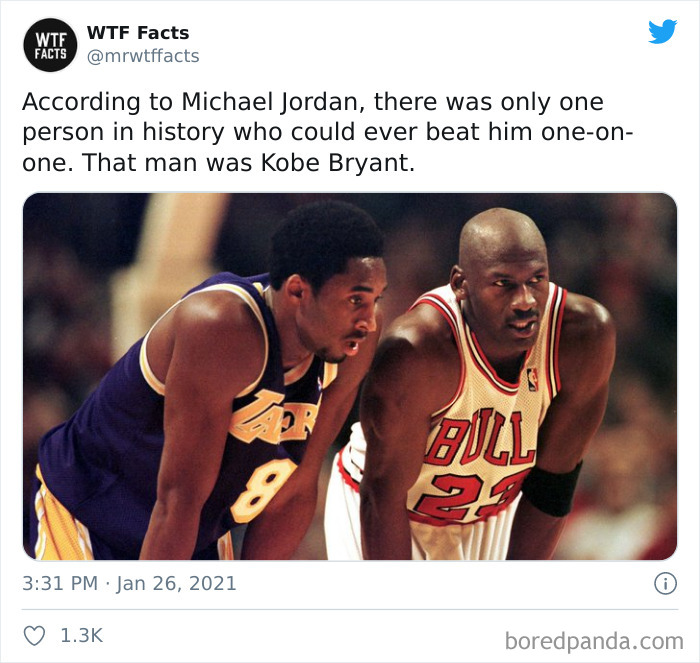 Weird-Interesting-Facts