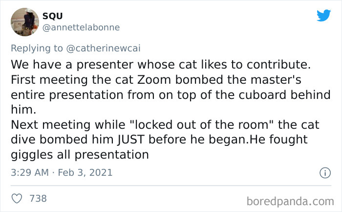 People-Tired-Of-Zoom-Video-Calls-Working-From-Home-Tweets