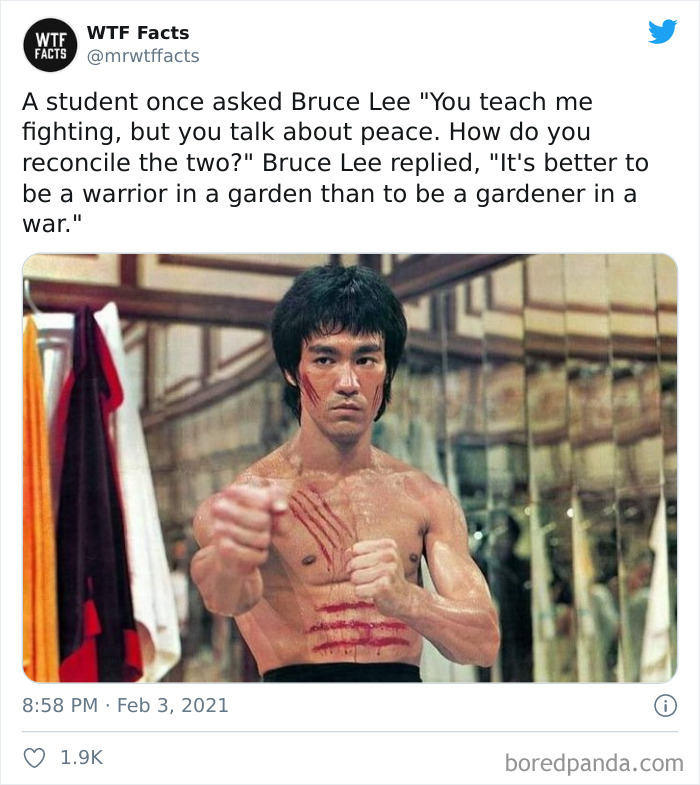 Weird-Interesting-Facts