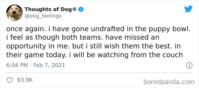 Funny-Tweets-Thoughts-Of-Dog