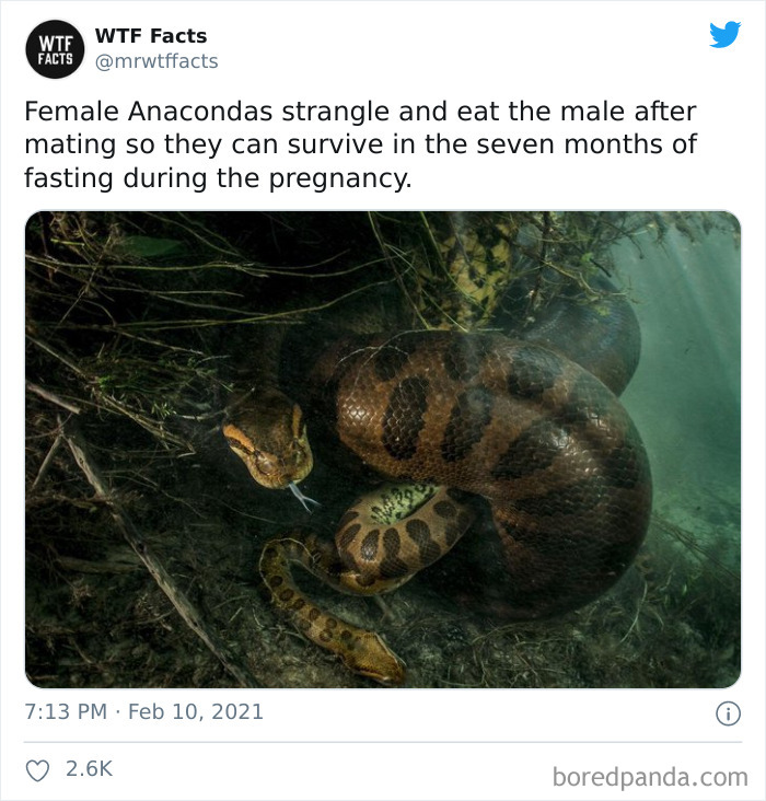 Weird-Interesting-Facts