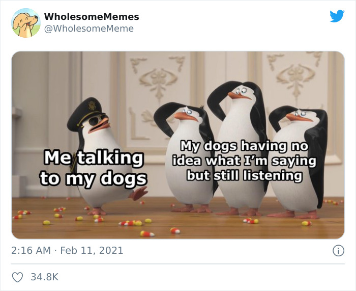 Wholesome-Heartwarming-Memes