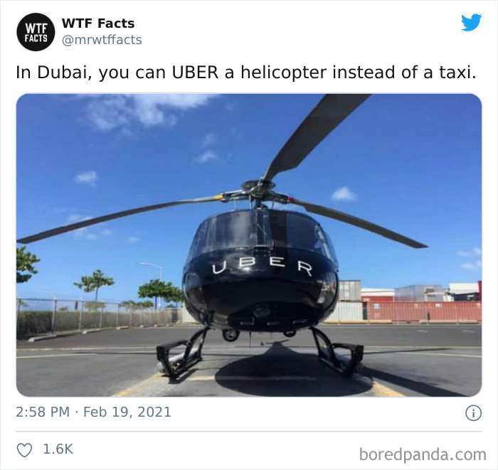 Weird-Interesting-Facts