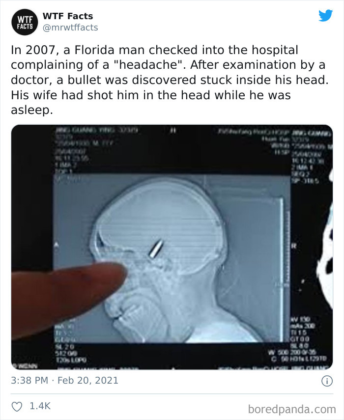 Weird-Interesting-Facts