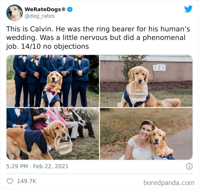 We-Rate-Dogs-Twitter