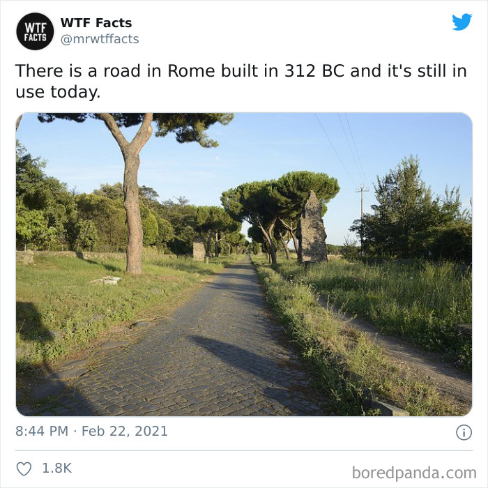 Weird-Interesting-Facts