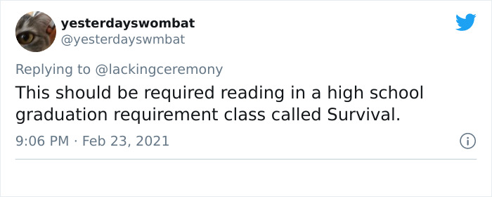 Person Explains 'How Credit Cards Work' By Using An Analogy That Can Almost Be Turned Into A Movie