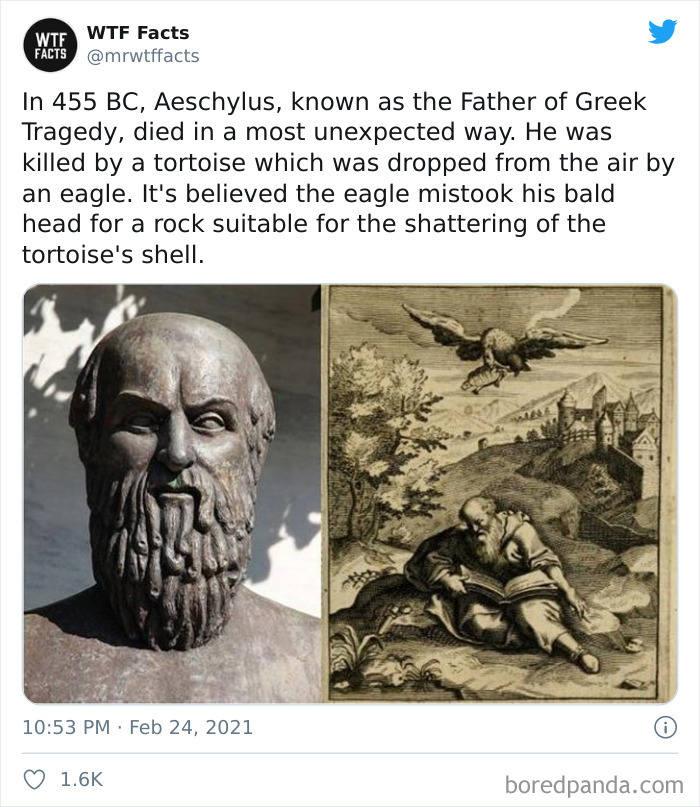 Weird-Interesting-Facts