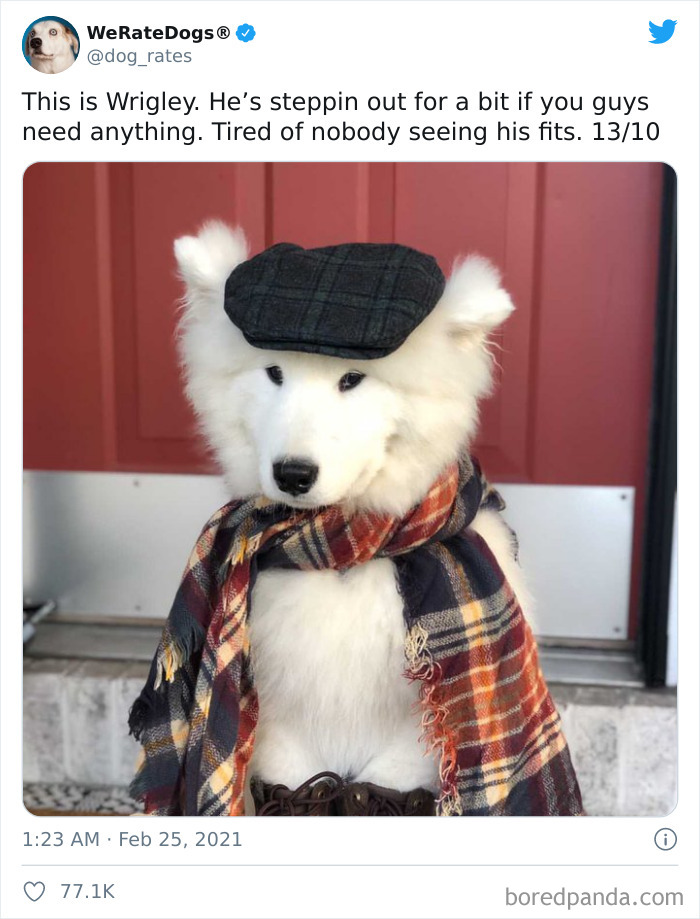 We-Rate-Dogs-Twitter