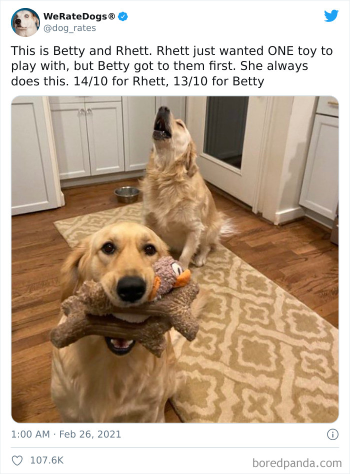 We-Rate-Dogs-Twitter