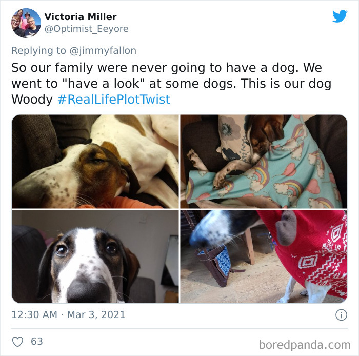 Real-Life-Plot-Twist-Jimmy-Fallon