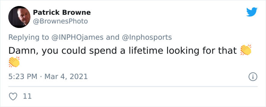 After Following Starlings For 3 Months, This Irish Photographer Captures An Incredible Murmuration In The Shape Of A Huge Bird After Following Starlings For 3 Months, This Irish Photographer Captures An Incredible Murmuration In The Shape Of A Huge Bird