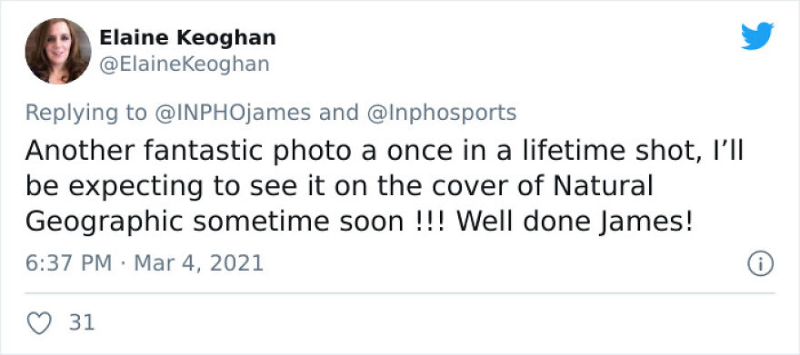 After Following Starlings For 3 Months, This Irish Photographer Captures An Incredible Murmuration In The Shape Of A Huge Bird After Following Starlings For 3 Months, This Irish Photographer Captures An Incredible Murmuration In The Shape Of A Huge Bird