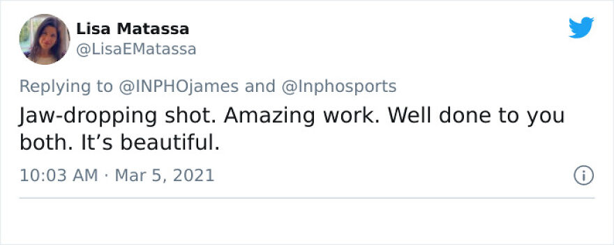 After Following Starlings For 3 Months, This Irish Photographer Captures An Incredible Murmuration In The Shape Of A Huge Bird