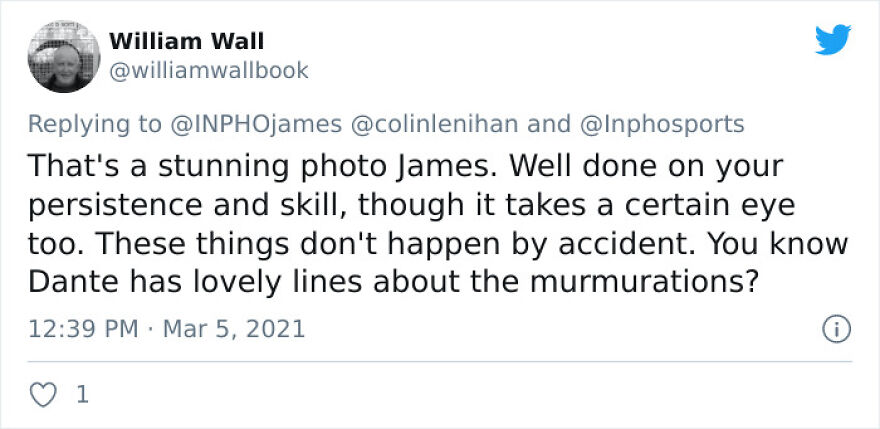 After Following Starlings For 3 Months, This Irish Photographer Captures An Incredible Murmuration In The Shape Of A Huge Bird