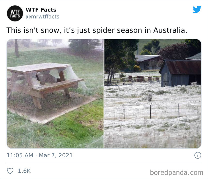 Weird-Interesting-Facts