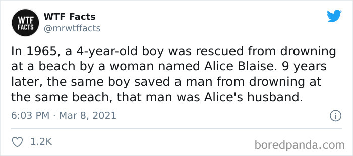 Weird-Interesting-Facts