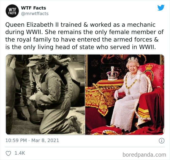 Weird-Interesting-Facts