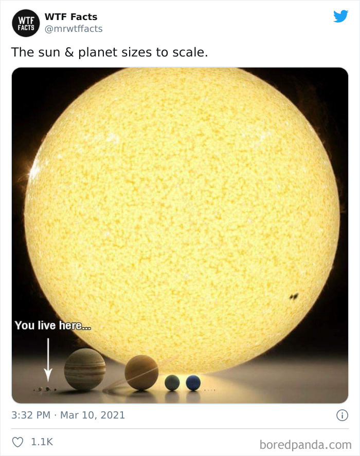 Weird-Interesting-Facts