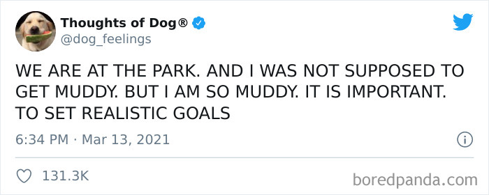 Funny-Tweets-Thoughts-Of-Dog