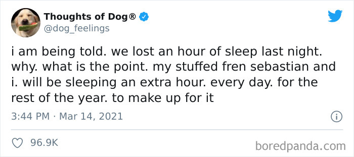 Funny-Tweets-Thoughts-Of-Dog