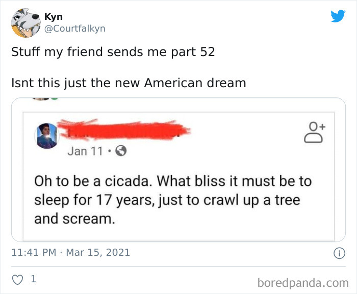 The American Dream