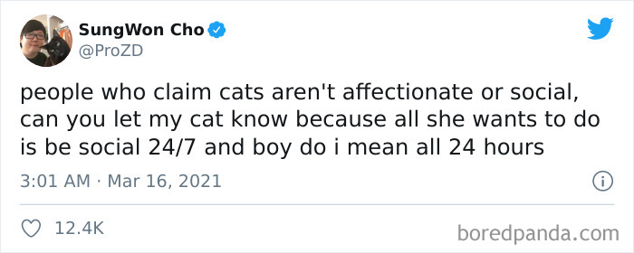 Cat-vs.-Dog-People-Tweets