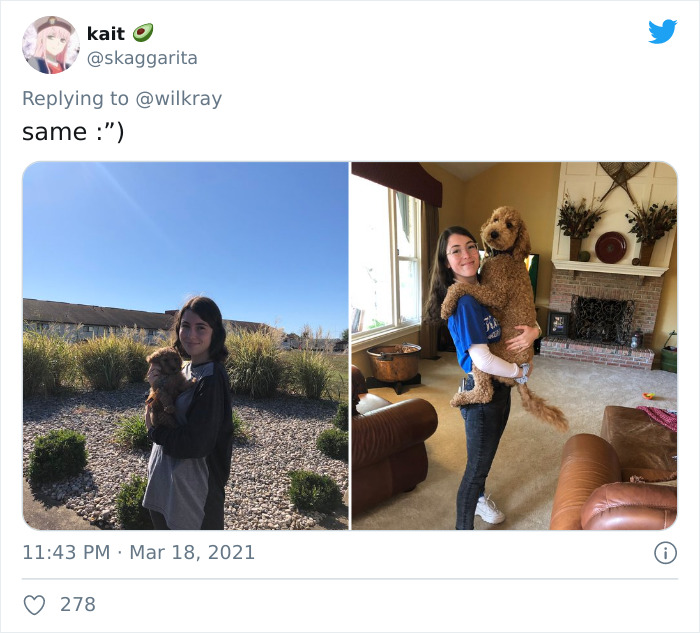 In A New Flash Mob On Twitter, Owners Have Fun With Photos Of Their Dogs As Puppies And How They Are Today