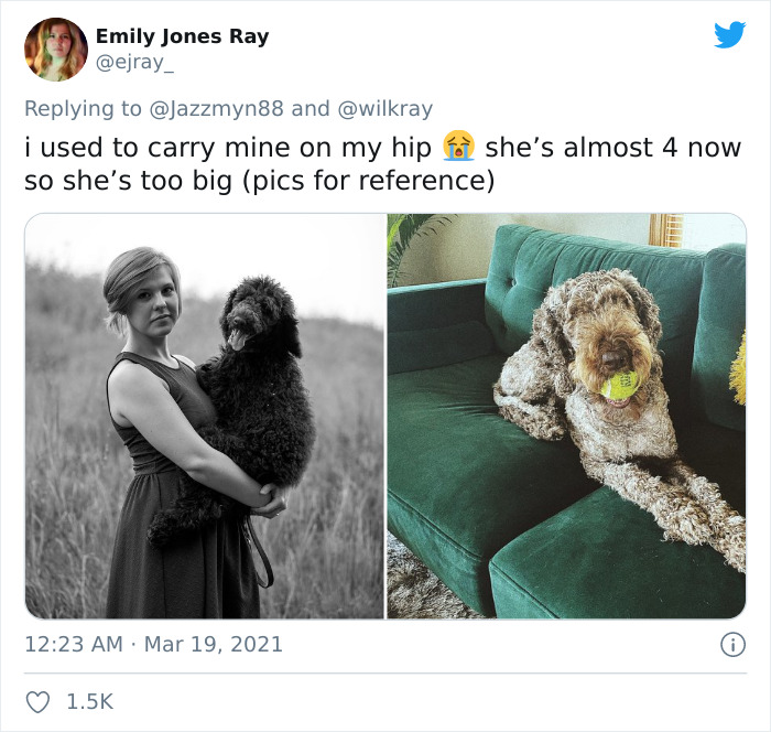 In A New Flash Mob On Twitter, Owners Have Fun With Photos Of Their Dogs As Puppies And How They Are Today