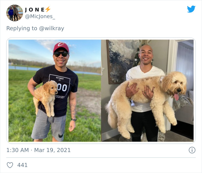 In A New Flash Mob On Twitter, Owners Have Fun With Photos Of Their Dogs As Puppies And How They Are Today