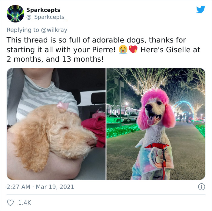 In A New Flash Mob On Twitter, Owners Have Fun With Photos Of Their Dogs As Puppies And How They Are Today