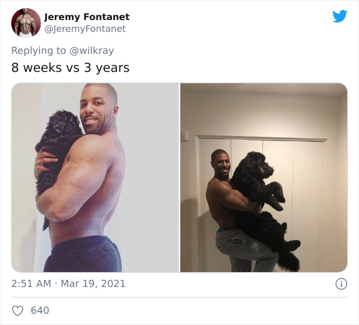 In A New Flash Mob On Twitter, Owners Have Fun With Photos Of Their Dogs As Puppies And How They Are Today