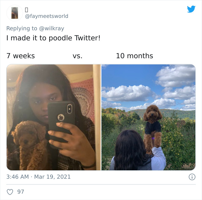 In A New Flash Mob On Twitter, Owners Have Fun With Photos Of Their Dogs As Puppies And How They Are Today