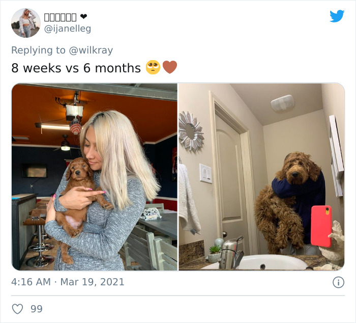 In A New Flash Mob On Twitter, Owners Have Fun With Photos Of Their Dogs As Puppies And How They Are Today