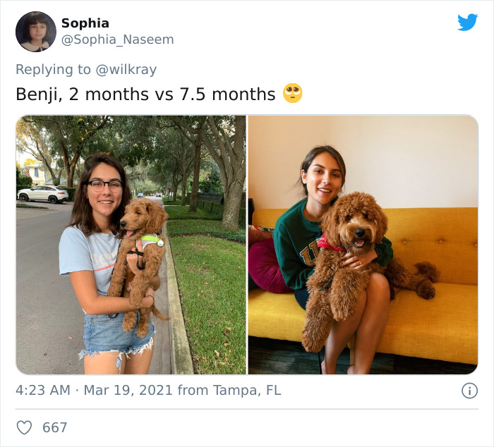 In A New Flash Mob On Twitter, Owners Have Fun With Photos Of Their Dogs As Puppies And How They Are Today