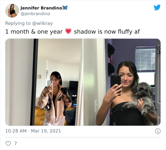 In A New Flash Mob On Twitter, Owners Have Fun With Photos Of Their Dogs As Puppies And How They Are Today