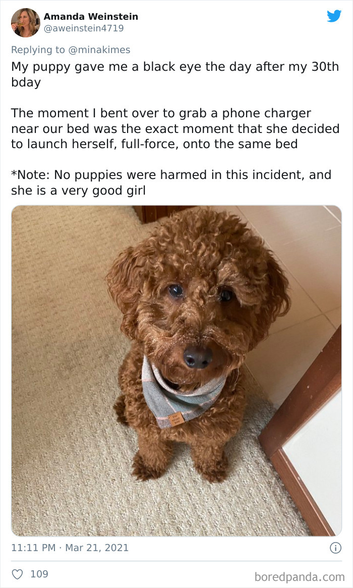 People-Share-Stupidest-Injury