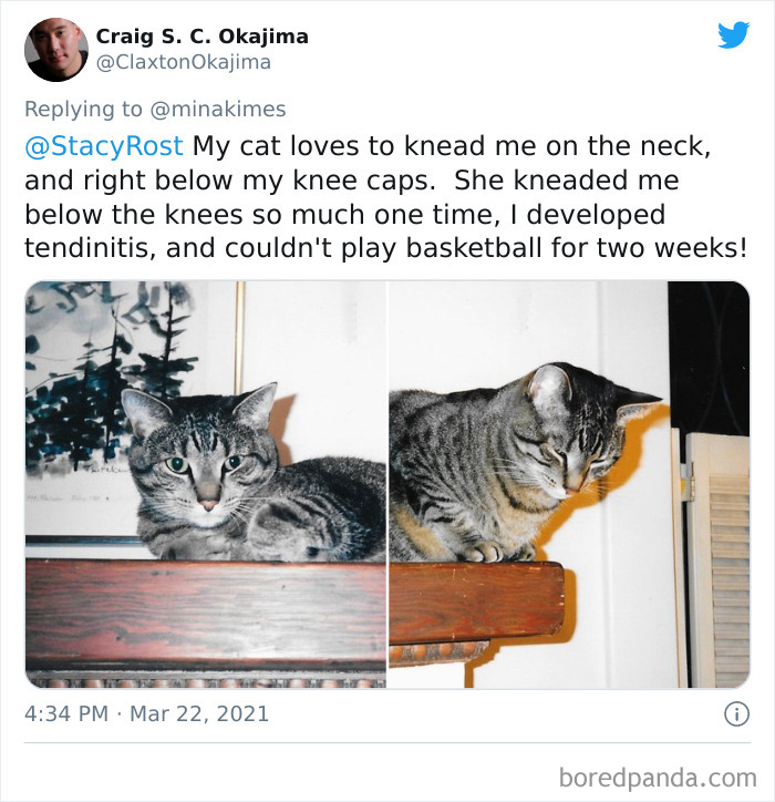 People-Share-Stupidest-Injury