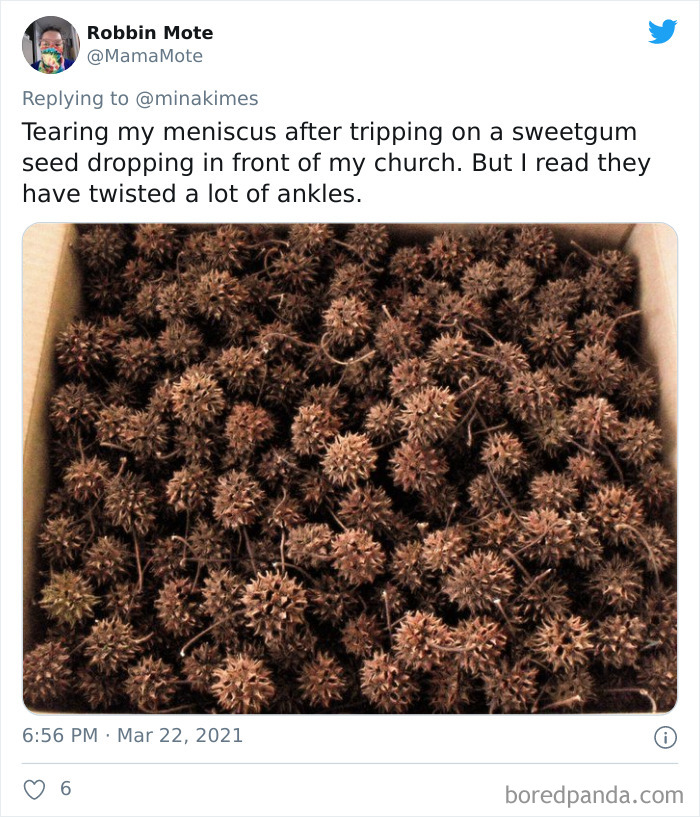 People-Share-Stupidest-Injury