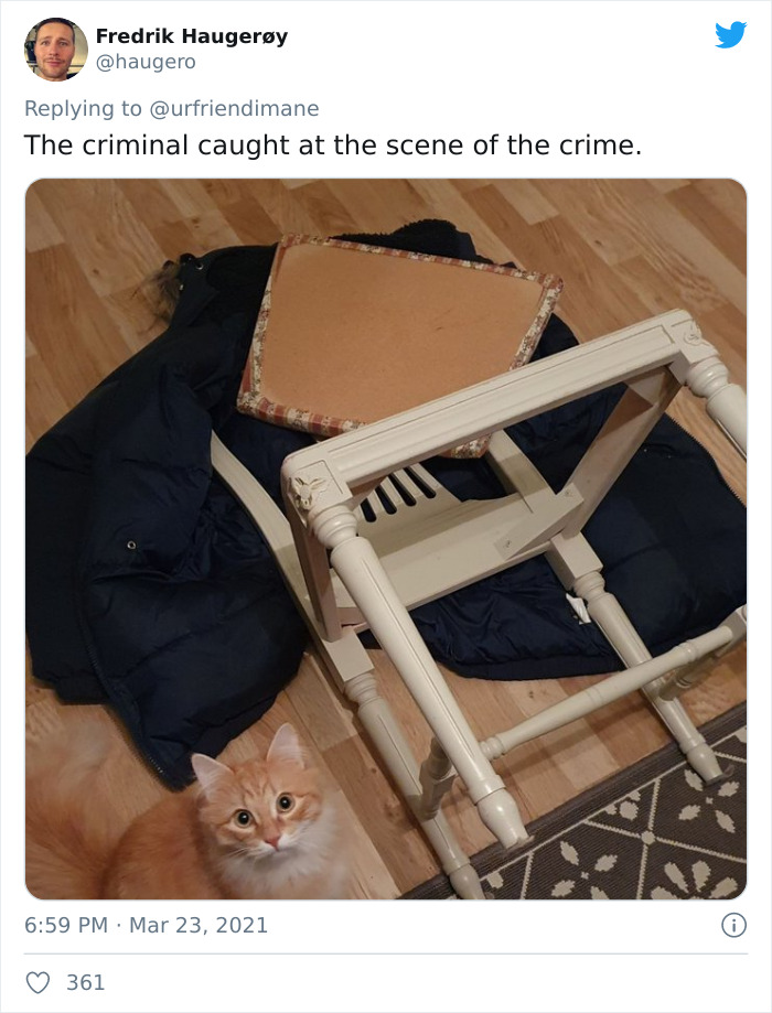Crime-Criminal-Pets-Crimescene