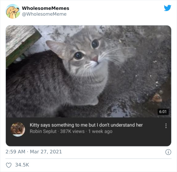 Wholesome-Heartwarming-Memes