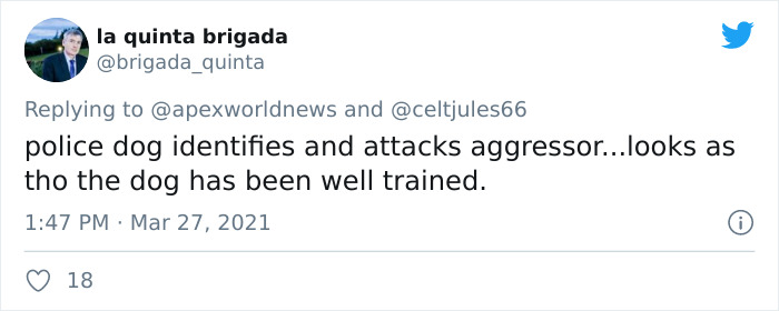 'He Did What He Was Taught': Police Dog Bites A Cop Who Brutalized A Protestor