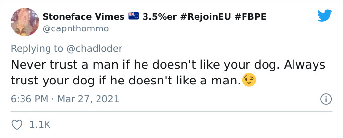 'He Did What He Was Taught': Police Dog Bites A Cop Who Brutalized A Protestor