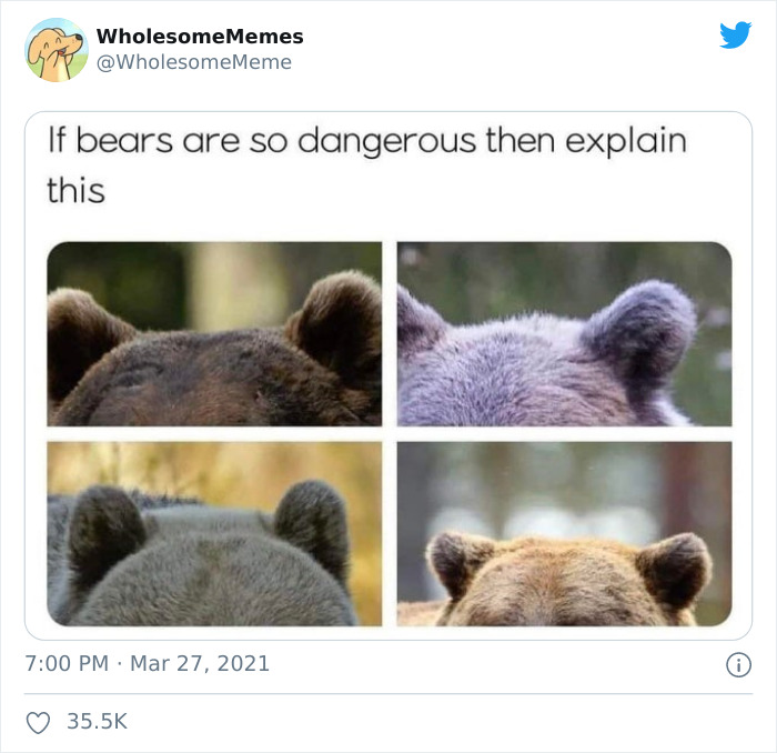 Wholesome-Heartwarming-Memes